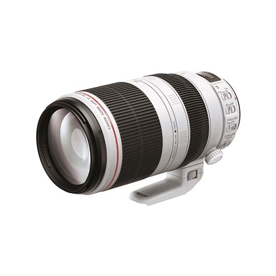 Canon EF100-400mm F4.5-5.6L IS II USM　レンズ