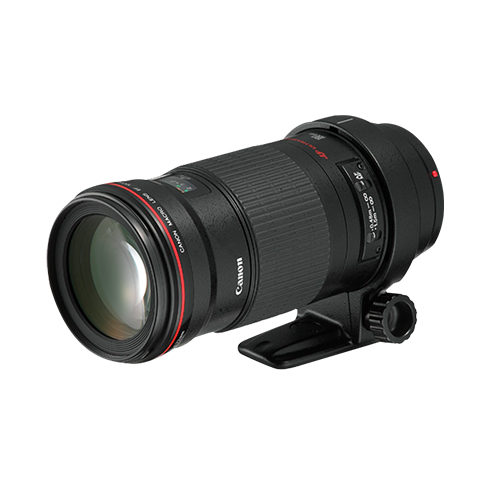 Canon EF180 3.5L MACRO USM レンズ