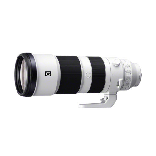 SONY  デジタル一眼カメラα[Eマウント]用レンズ  FE 200-600mm F5.6-6.3 G OSS  超望遠ズームレンズ  SEL200600G