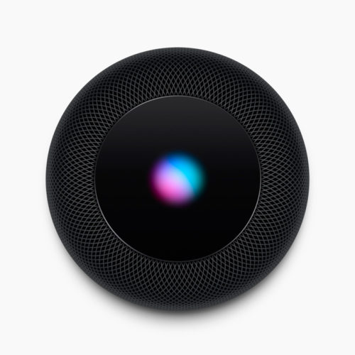 Home Pod（第一世代） APPLE 〔中古〕HomePod 第1世代 MQHW2J/A スペース